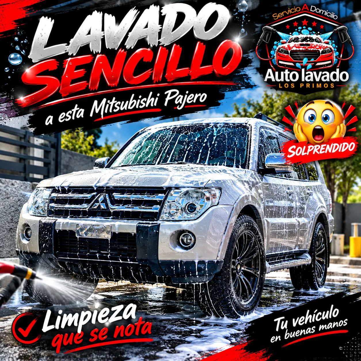 Lavado con cera seca/mojada